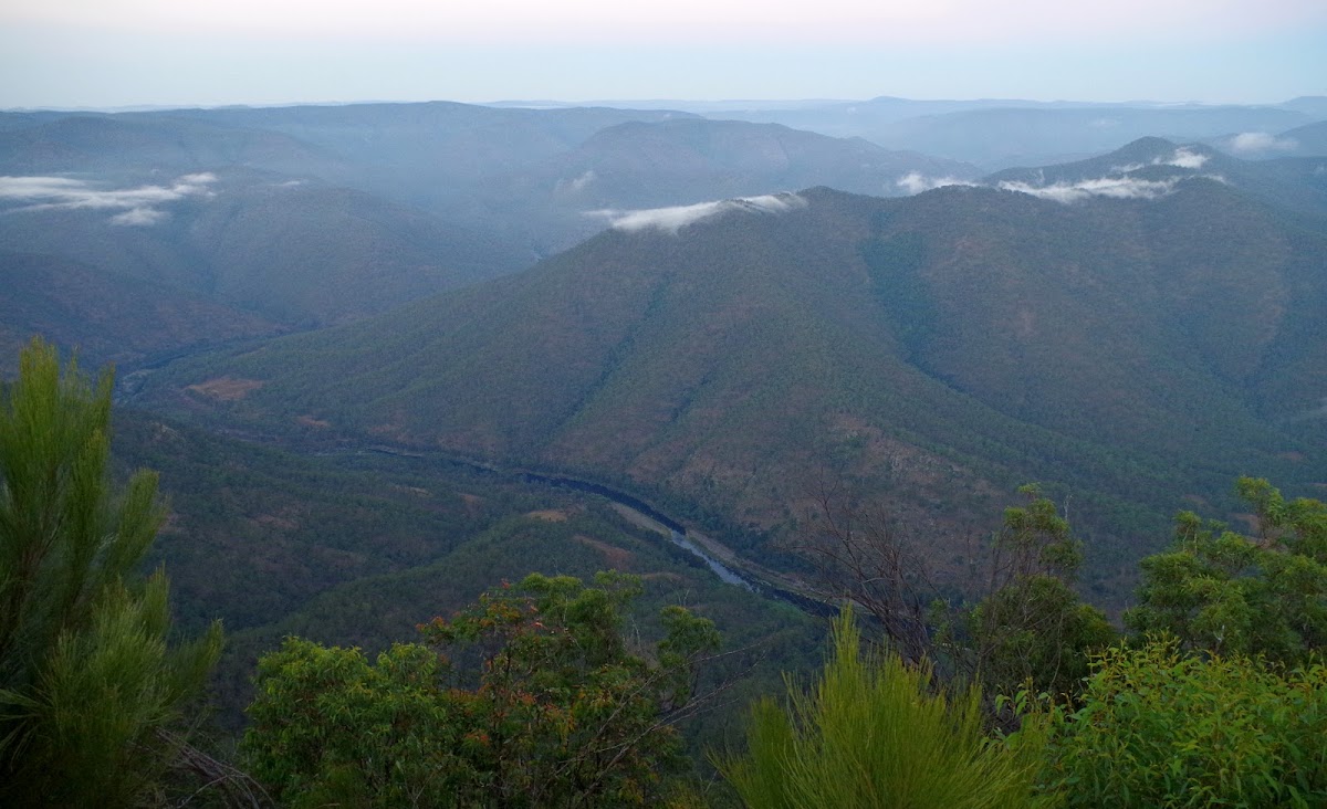 Carrai Lookout