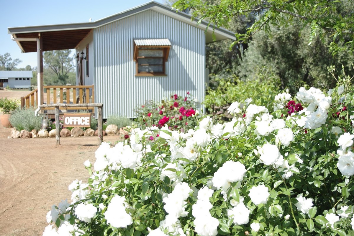Warrego Riverside Tourist Park