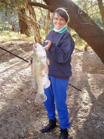 Warrego Riverside Tourist Park
