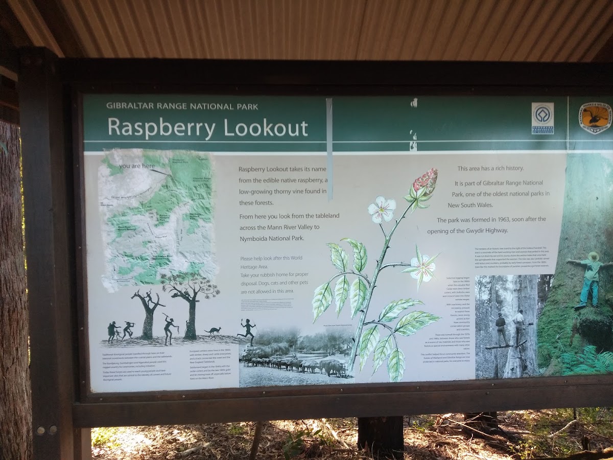 Raspberry Lookout