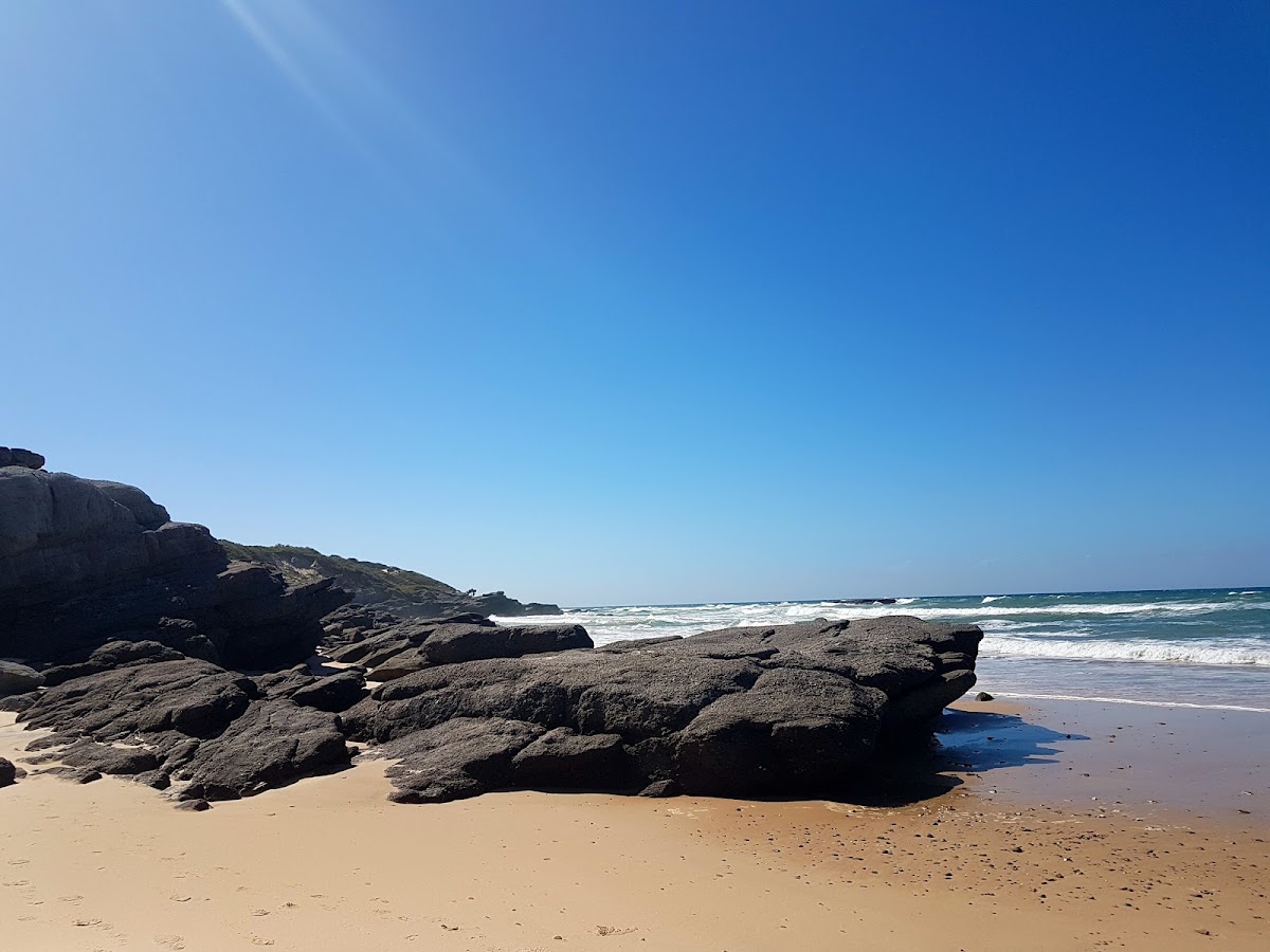 Plumbago Beach