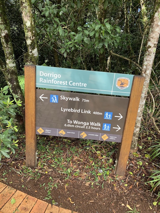 Dorrigo Rest Area