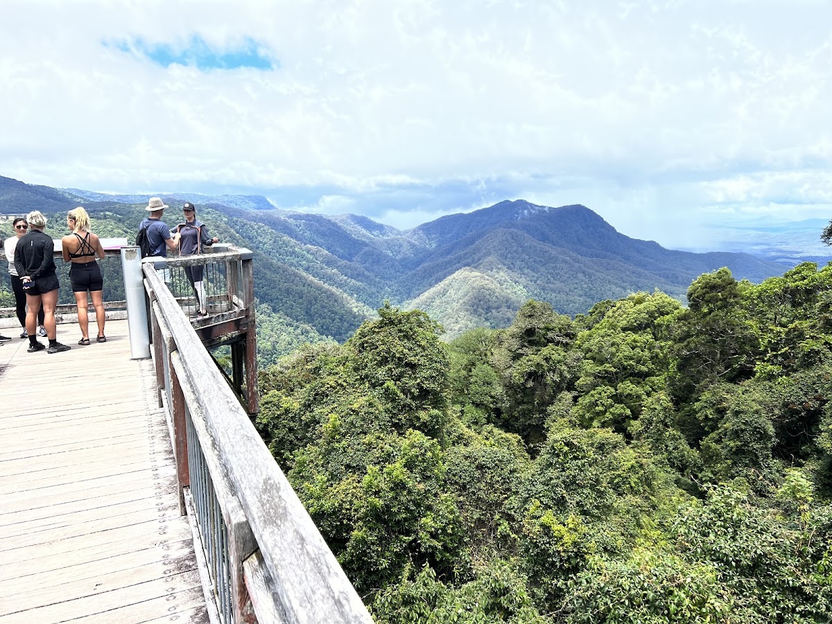 Dorrigo Rest Area