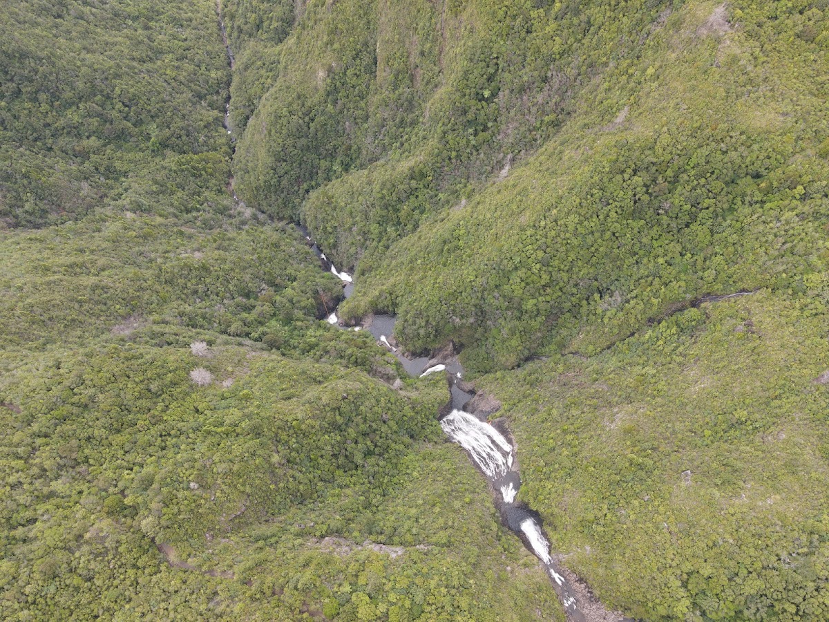 Billygoat Falls