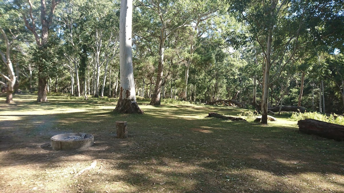Kroombit Tops National Park