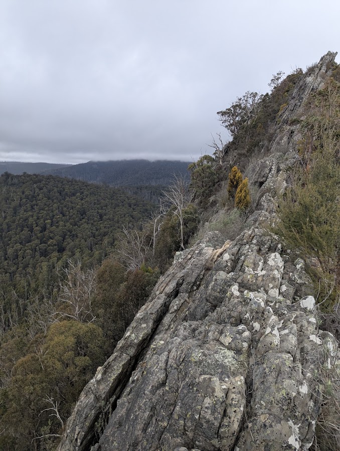 Carrang Carrang State Forest