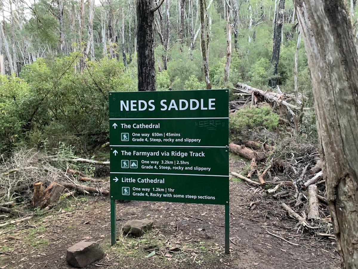 Carrang Carrang State Forest