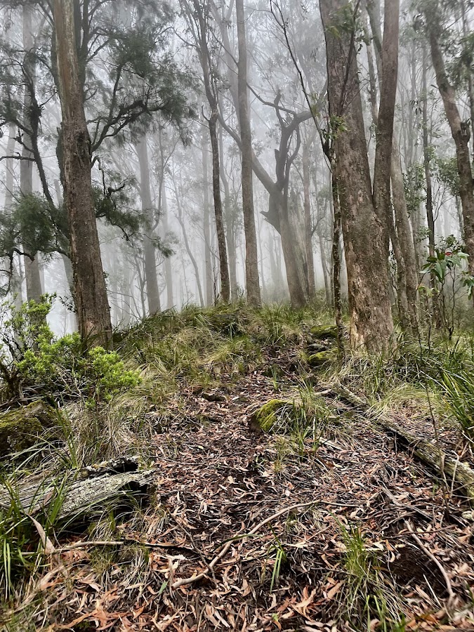 Mount Royal National Park