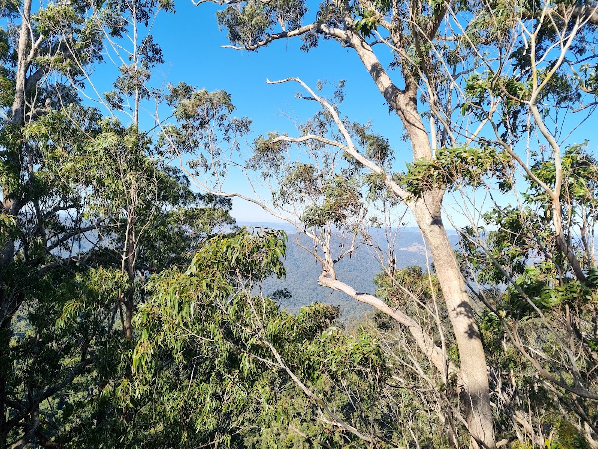 Mount Royal National Park