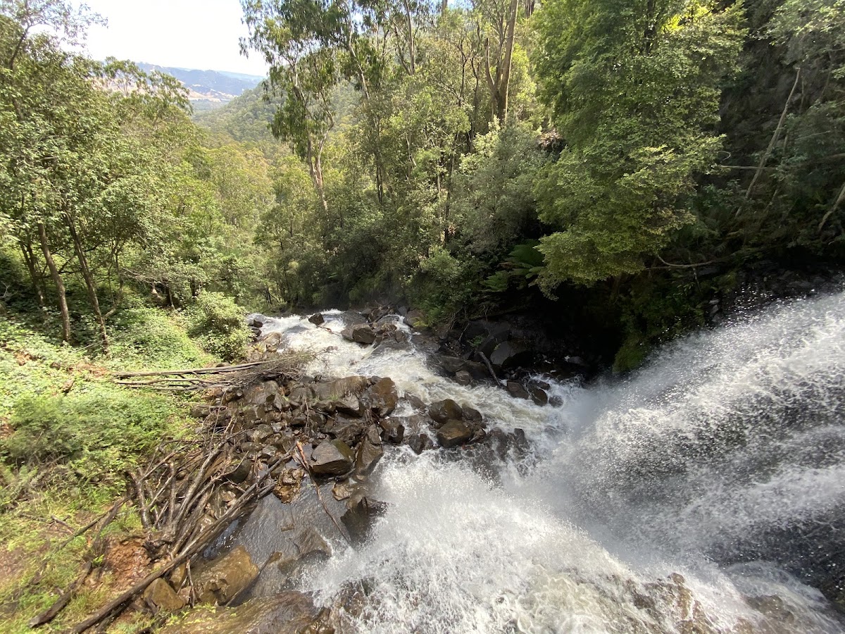 Falls