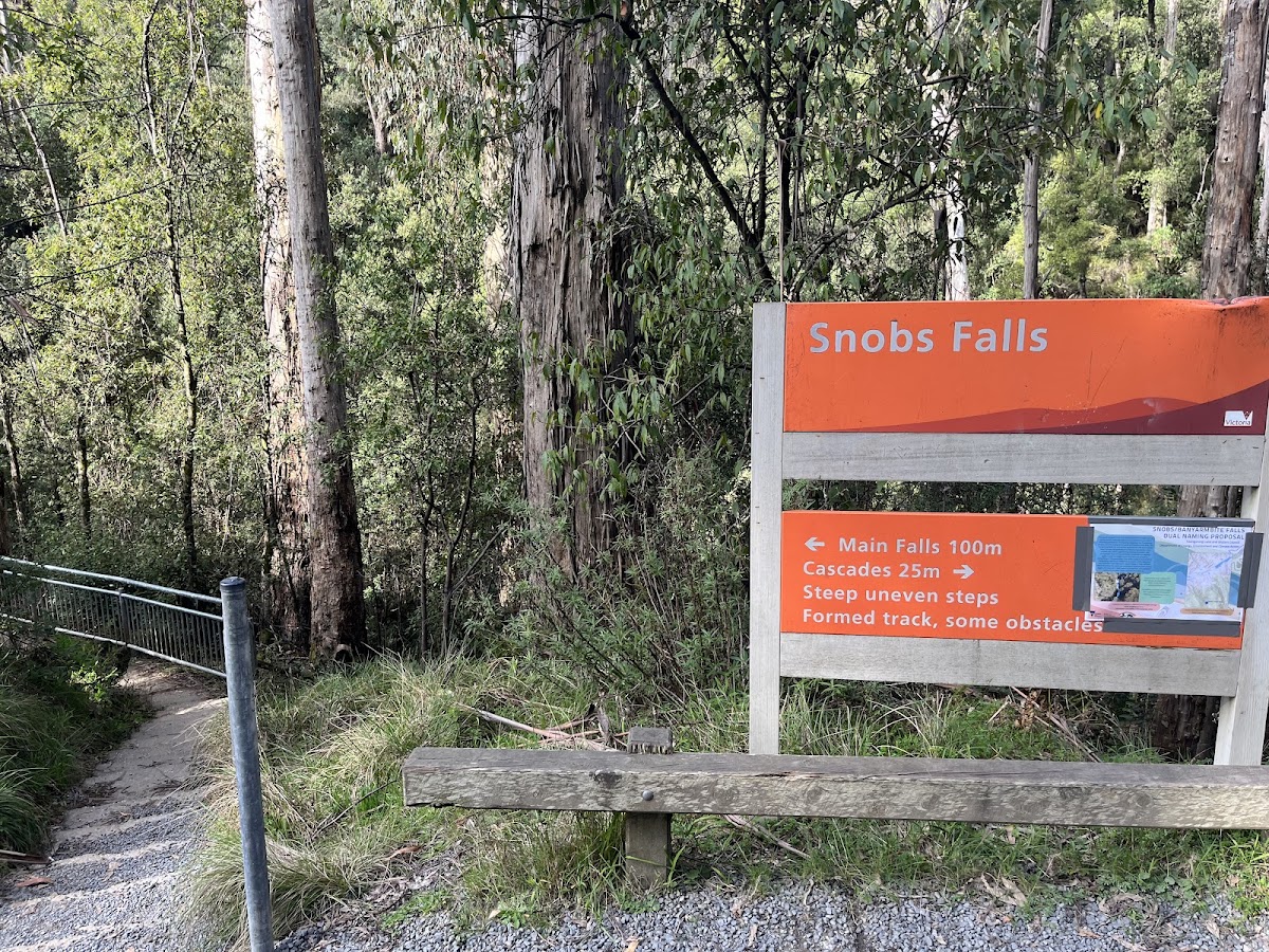 Falls