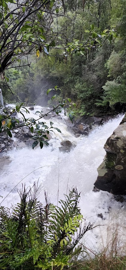 Falls