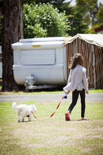 Gum Tree Caravan Park