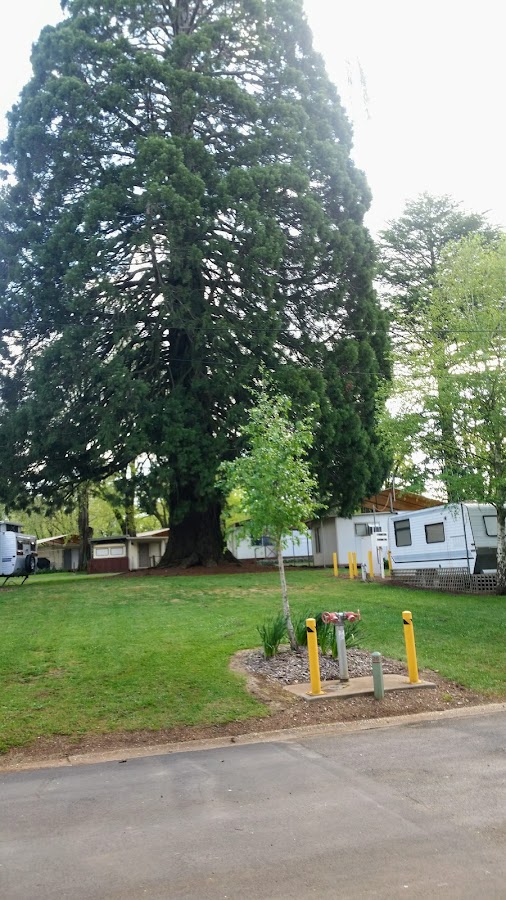 Daylesford Victoria Caravan Park
