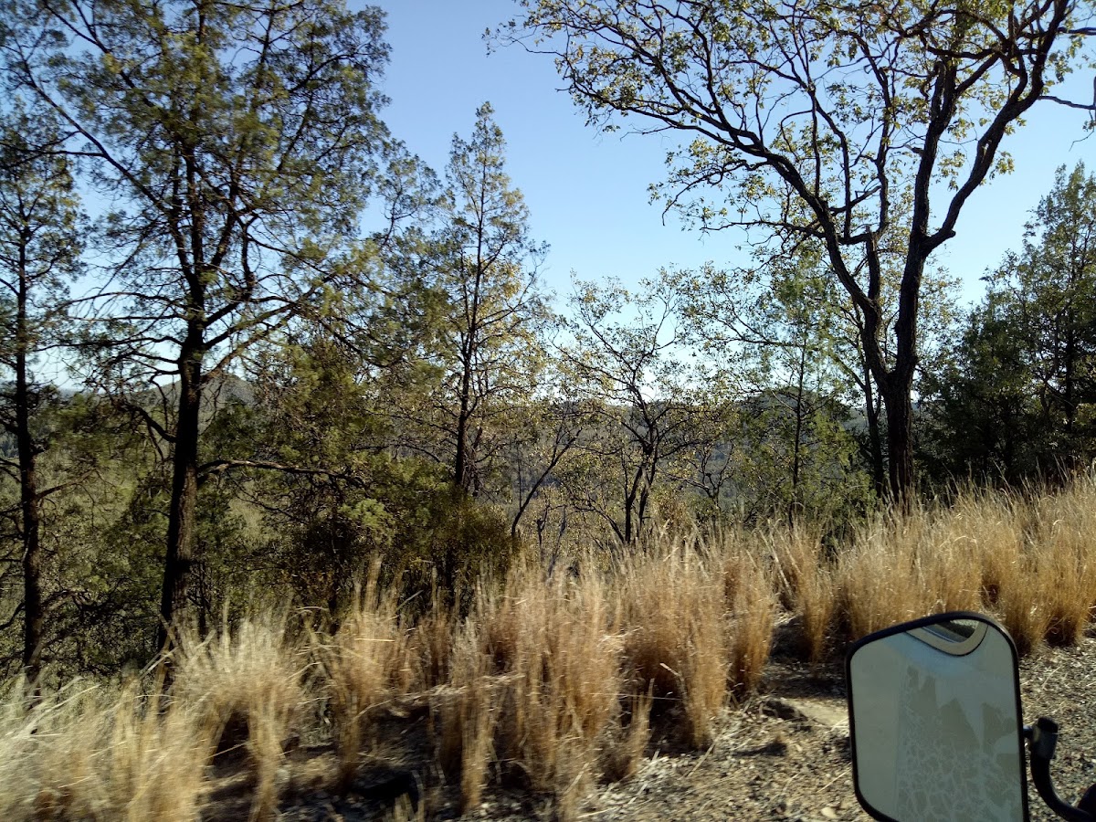 Gwydir River National Park