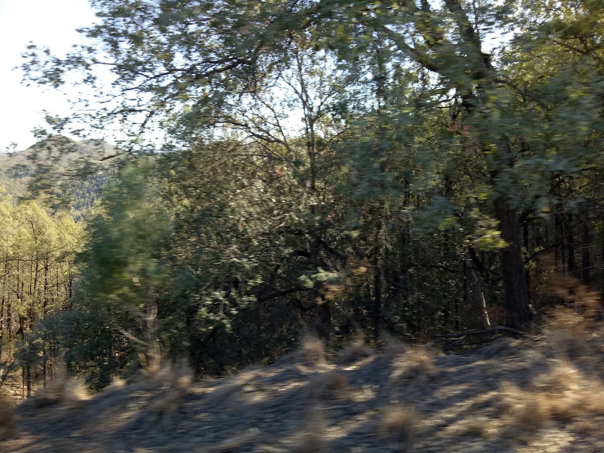 Gwydir River National Park