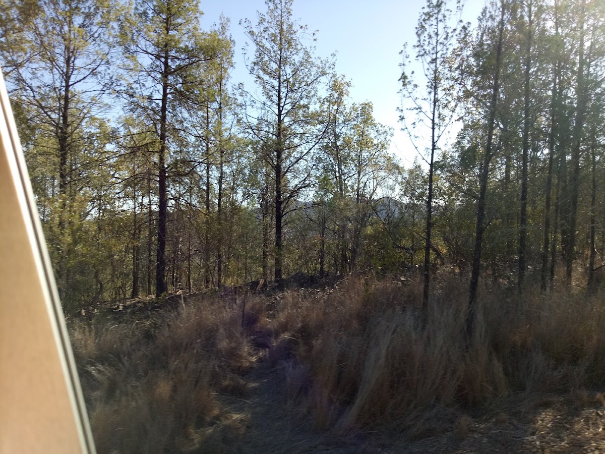 Gwydir River National Park