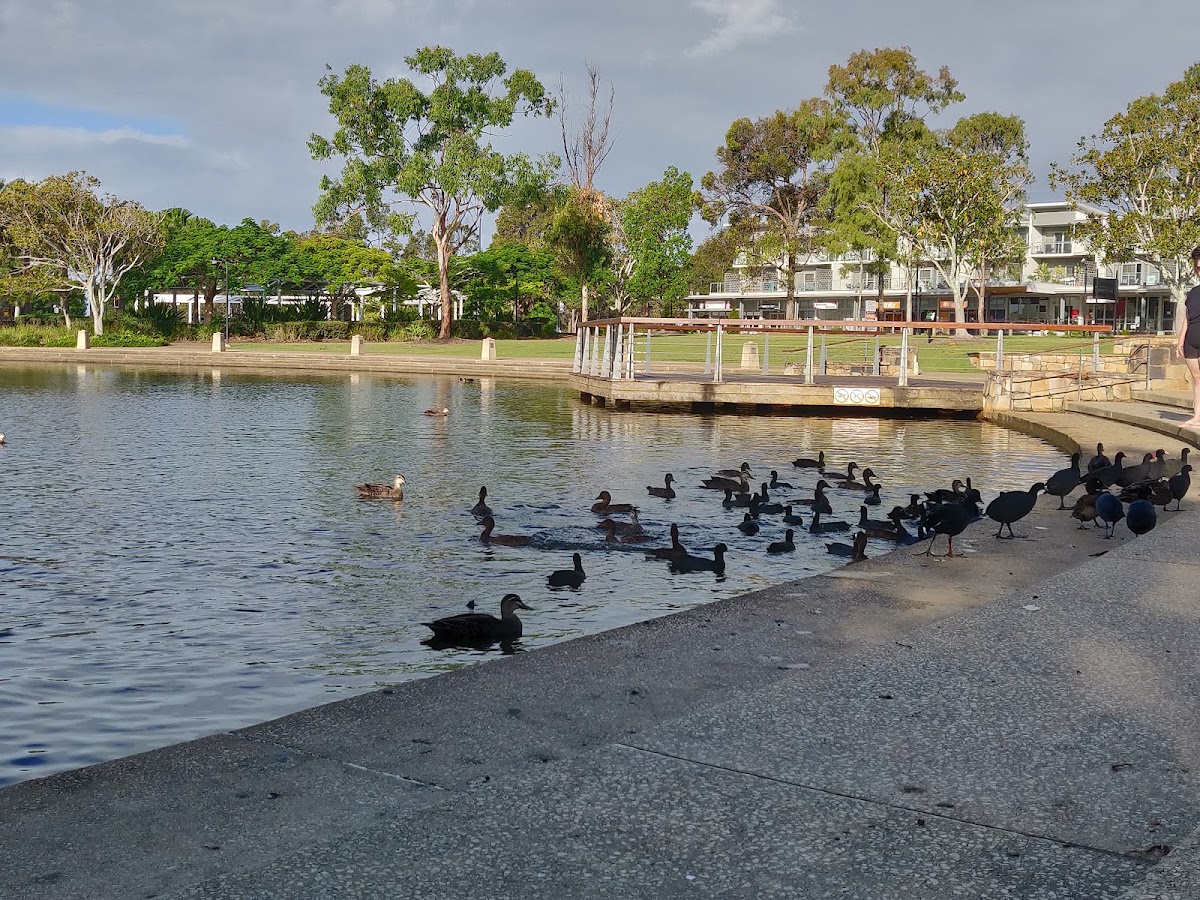Moreton Bay District