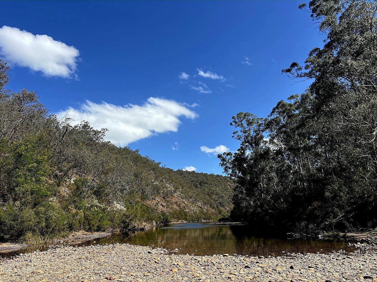 Wombat Crossing Camp Site B