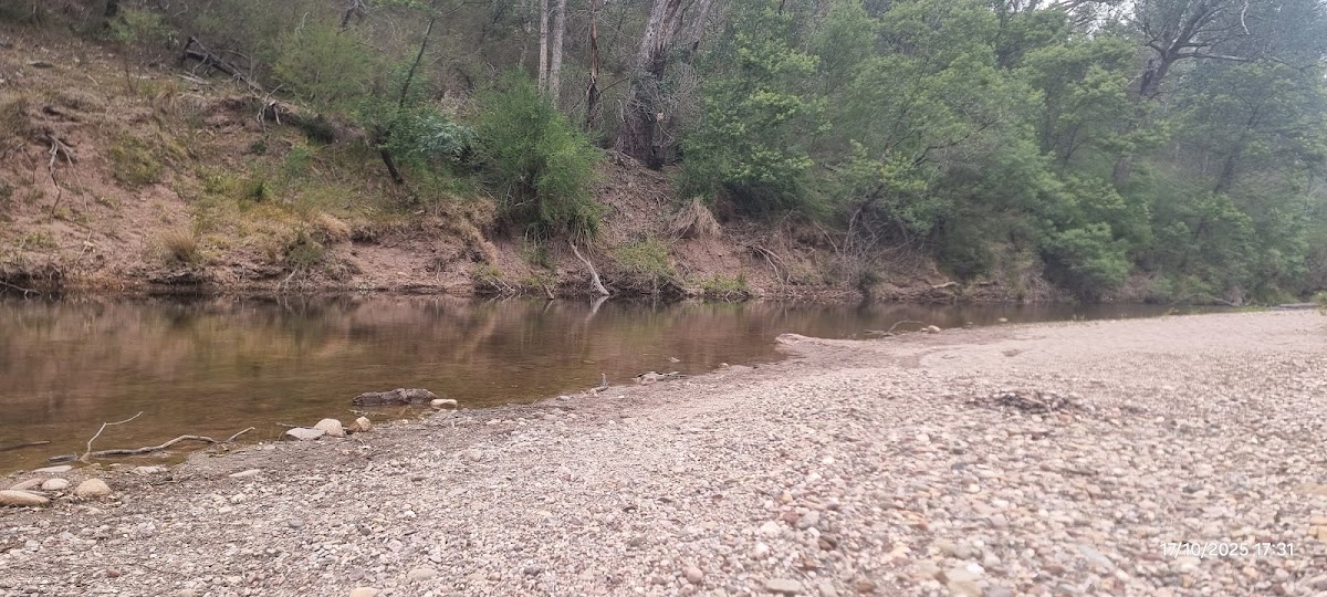 Wombat Crossing Camp Site B
