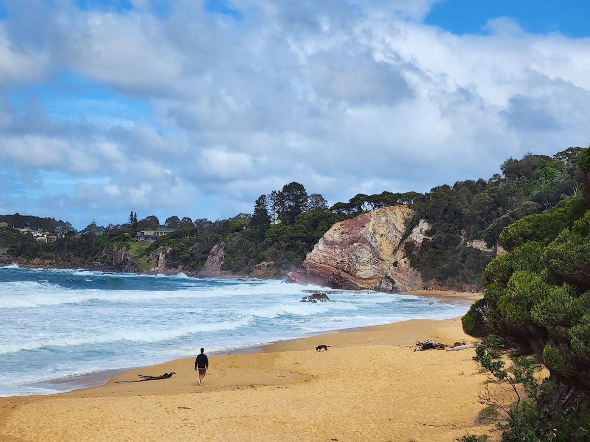 Aslings Beach