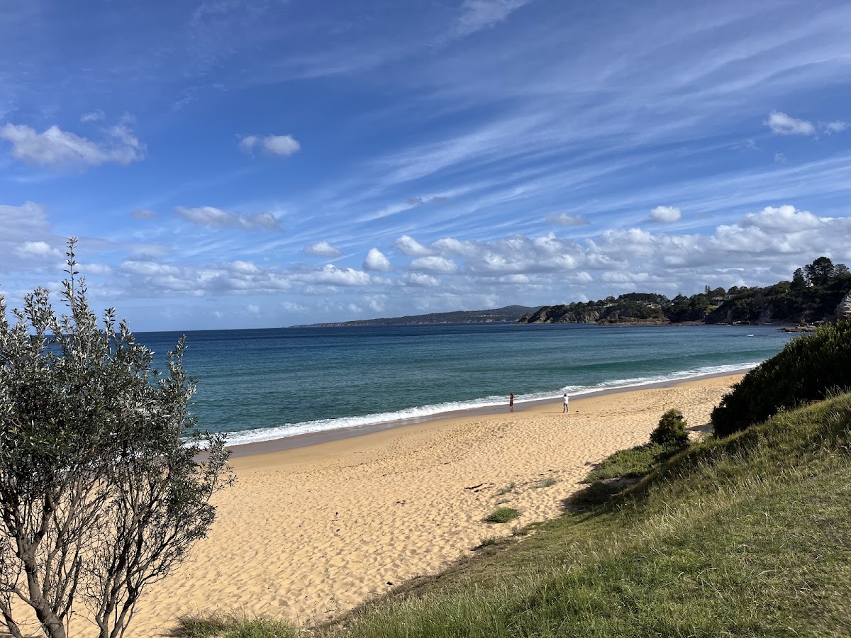 Aslings Beach