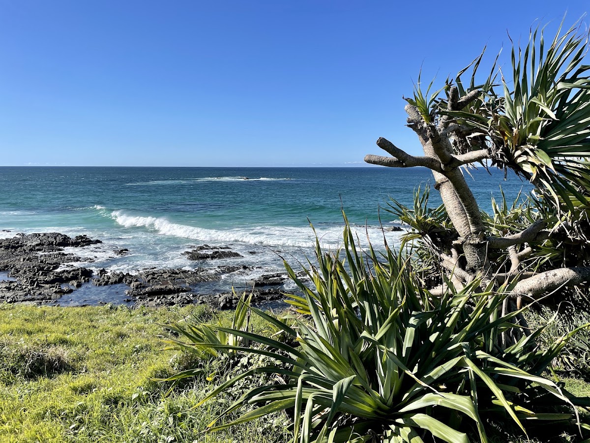 Hastings Point Headland
