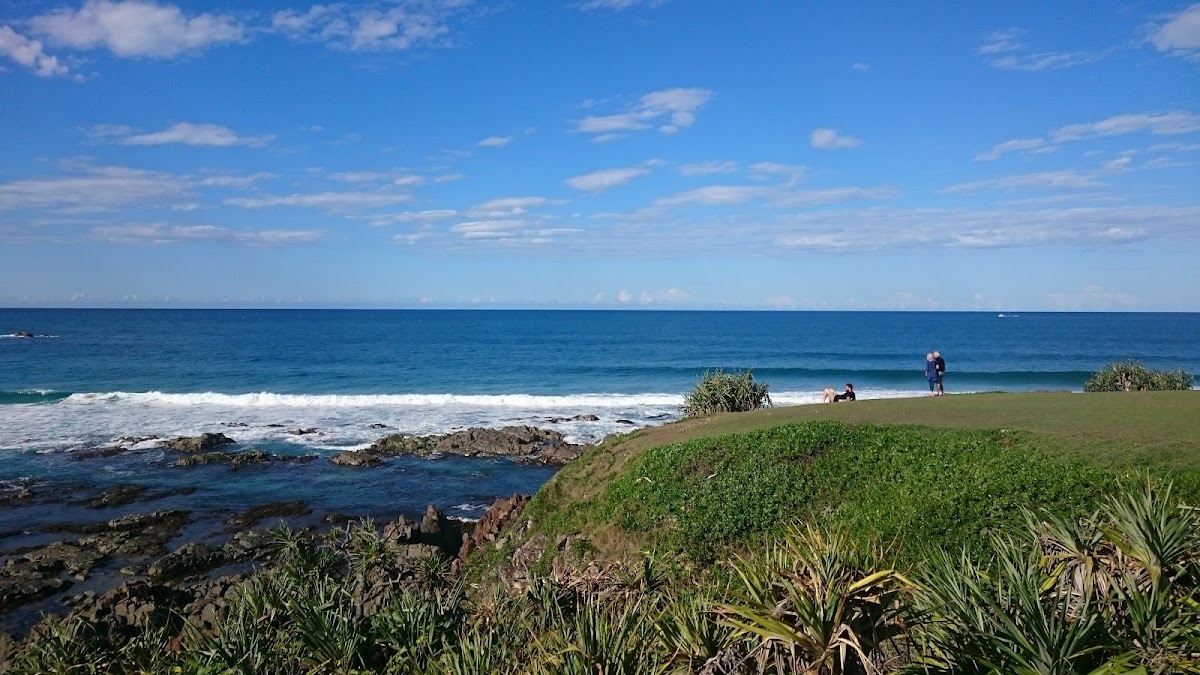 Hastings Point Headland