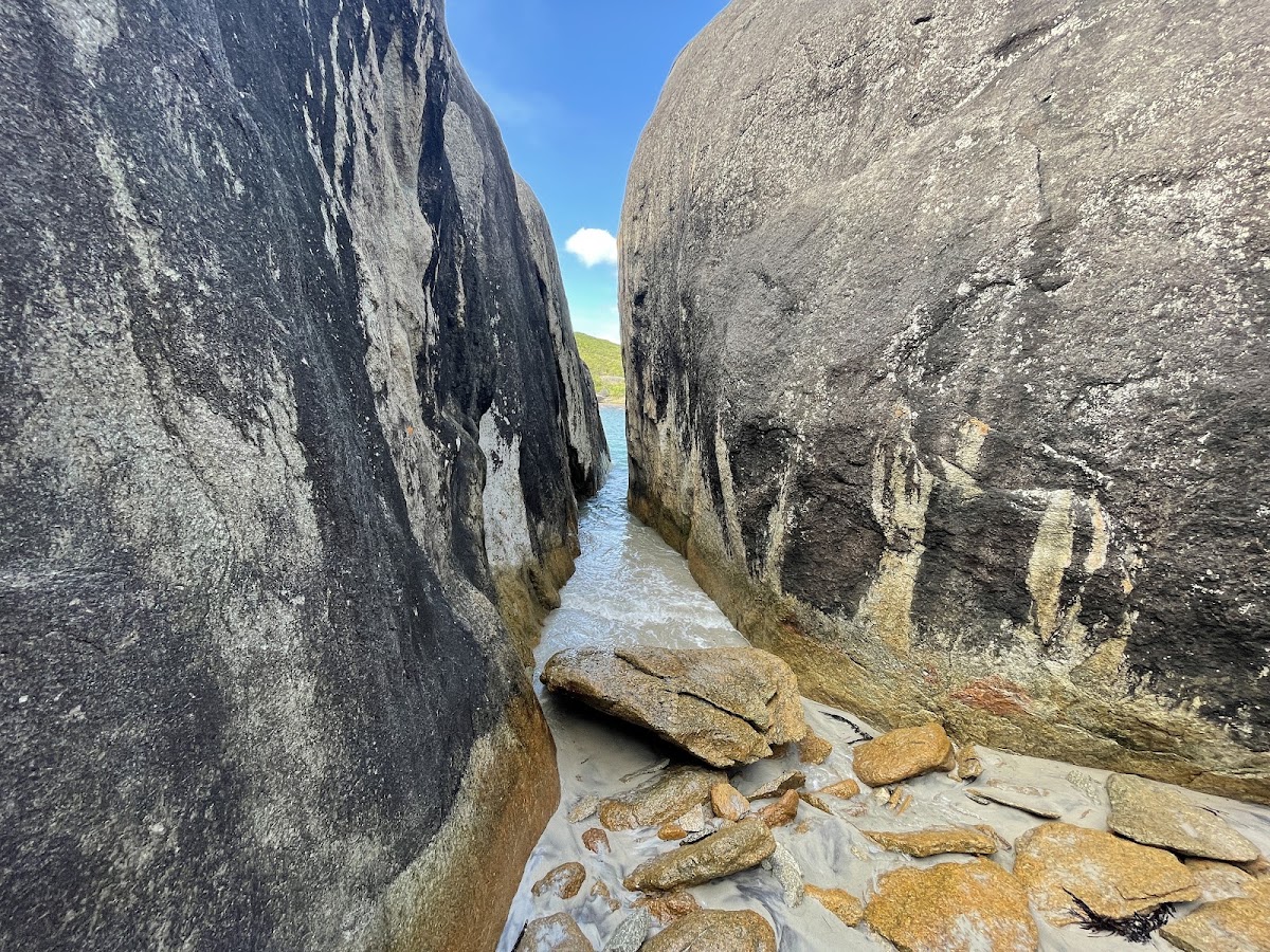 Elephant Cove