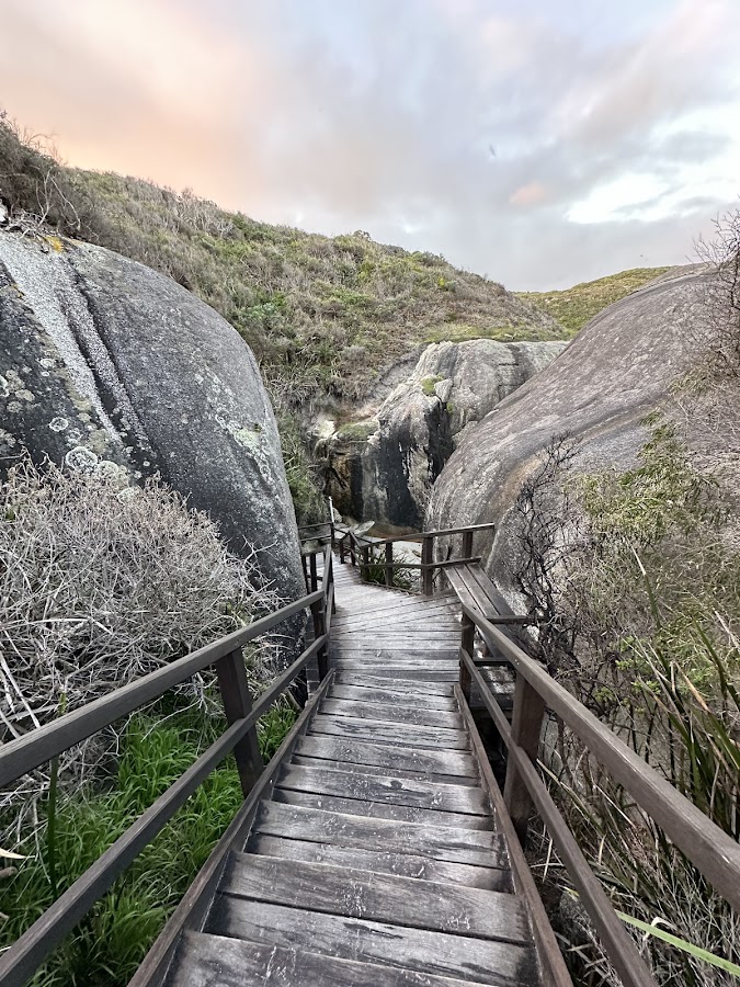 Elephant Cove