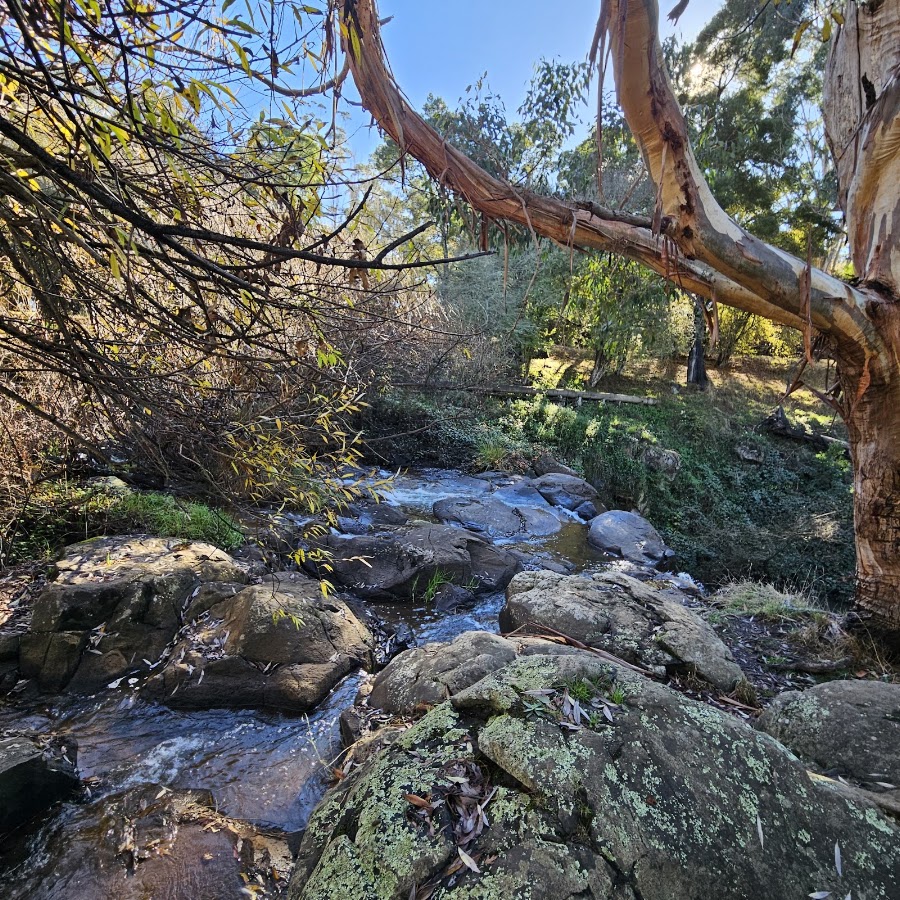 Nerb's Falls