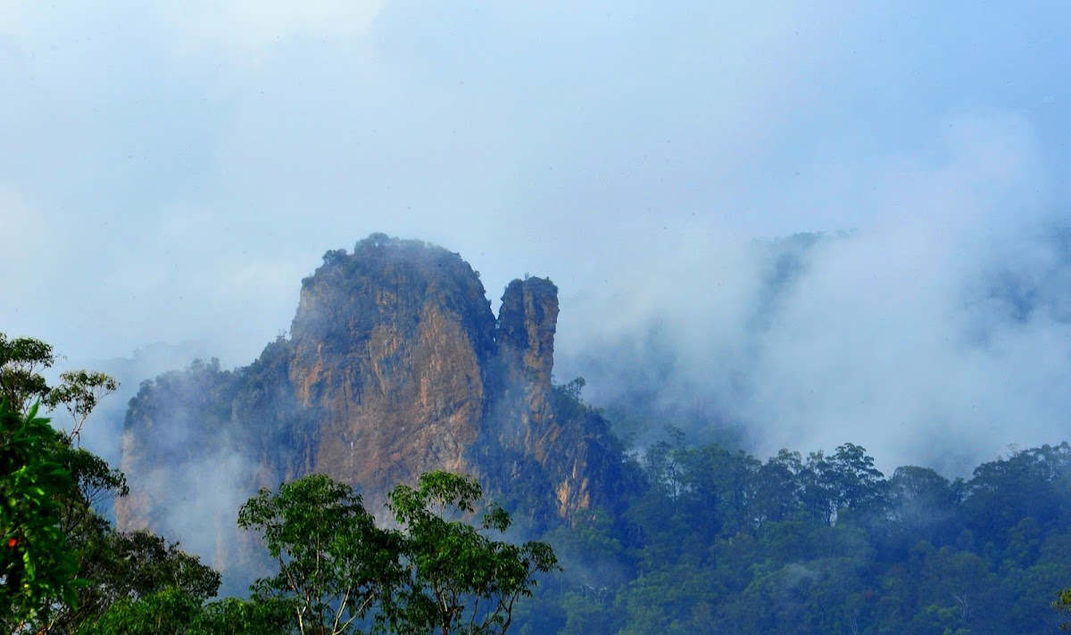 Nimbin Rocks Viewing Area
