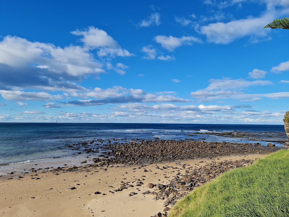 Sharky Beach