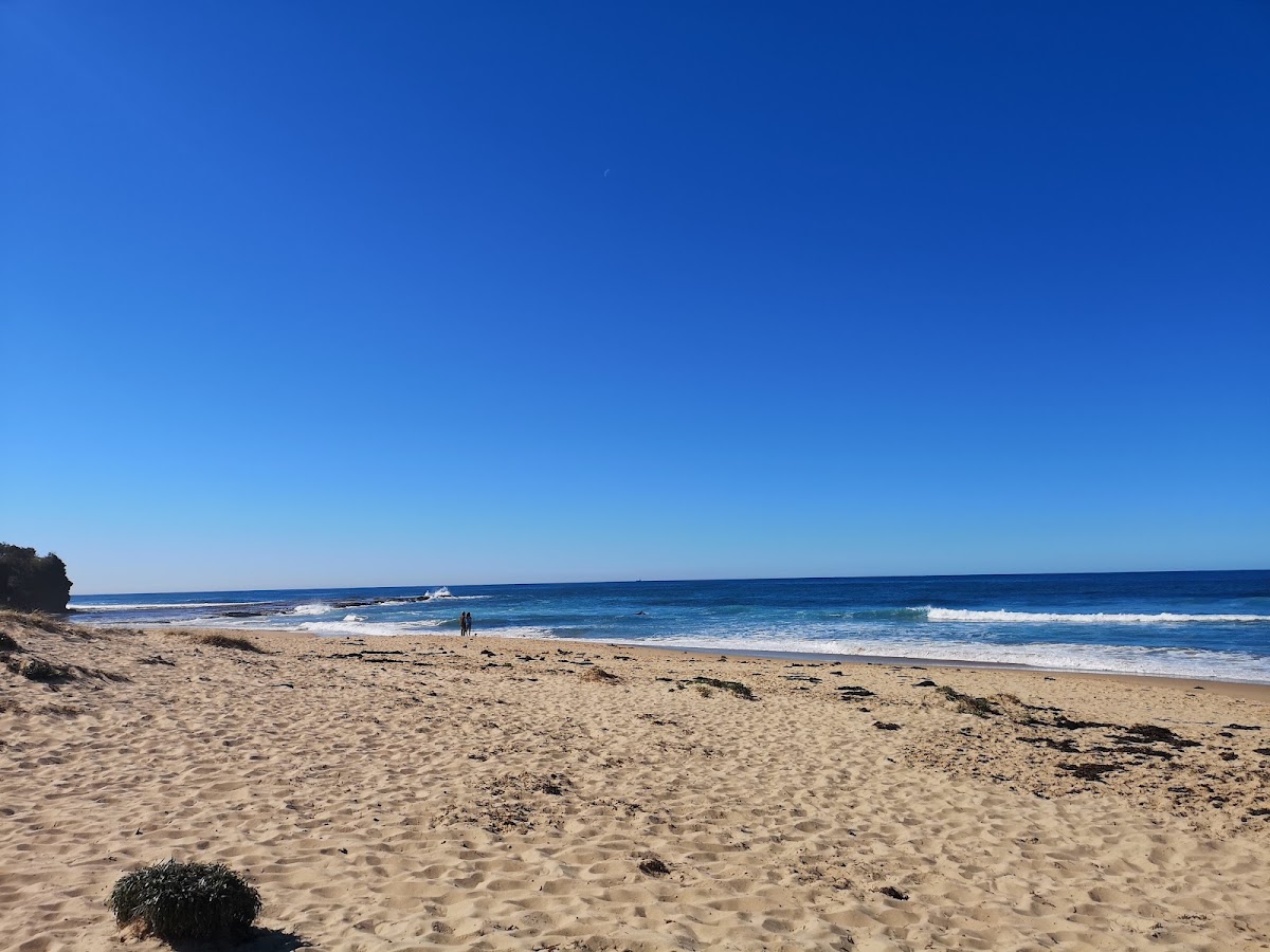 Sharky Beach