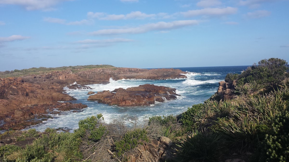 Tilligerry National Park