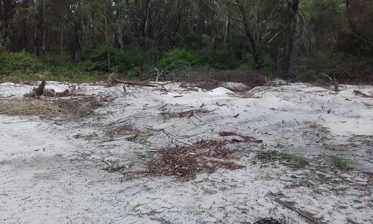 Tilligerry National Park