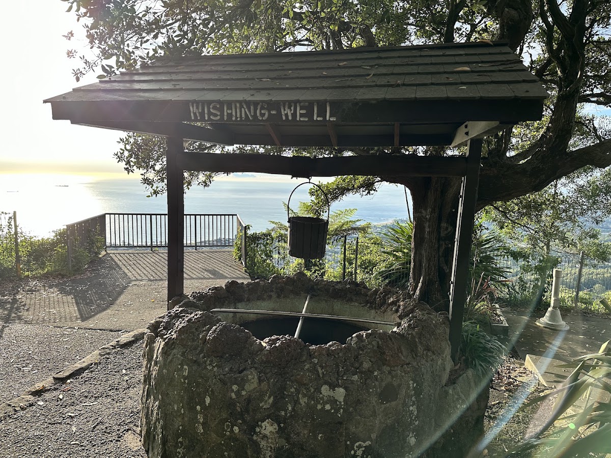 Bulli Lookout