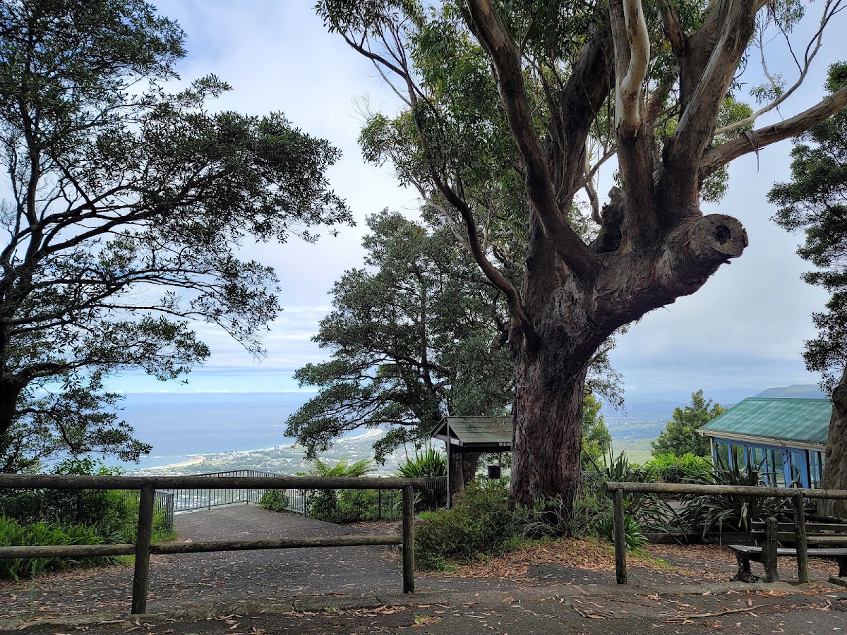 Bulli Lookout