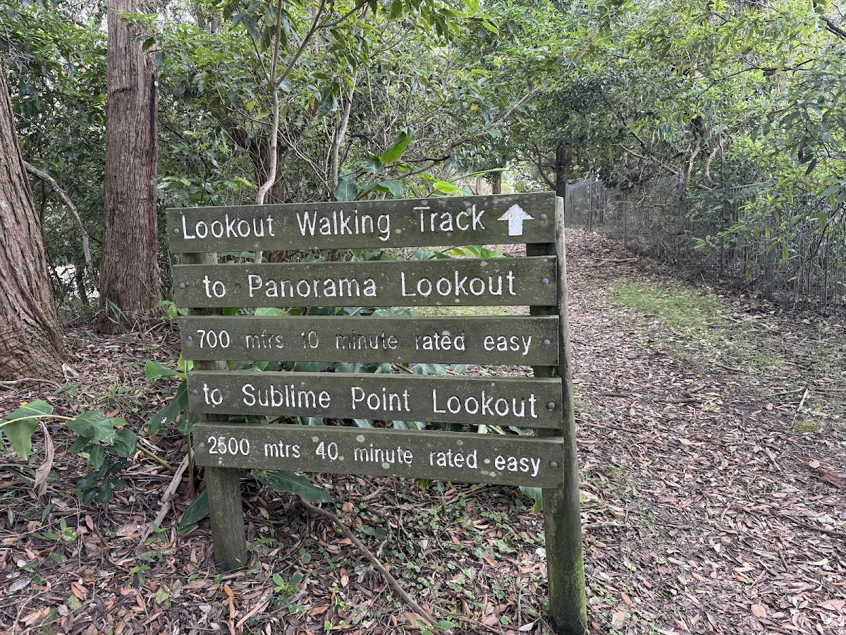 Bulli Lookout