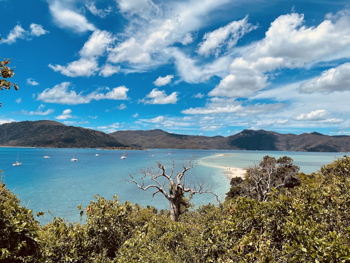 Langford Island Lookout