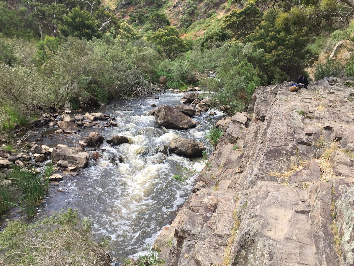 Bubbling brook at base of gorge
