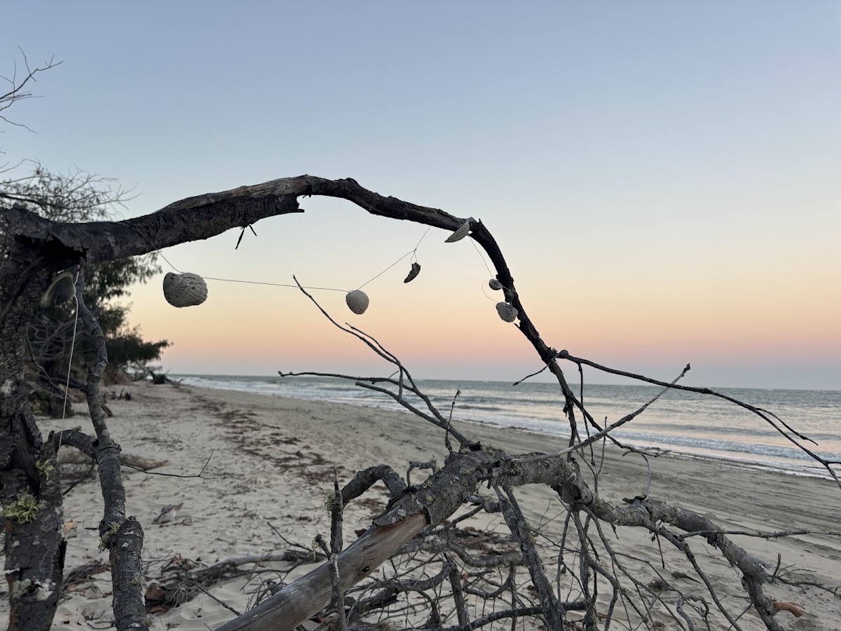 Burrum Coast National Park