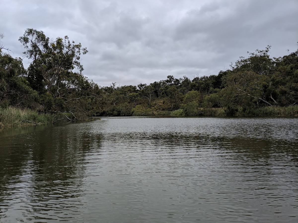 Lower Glenelg National Park