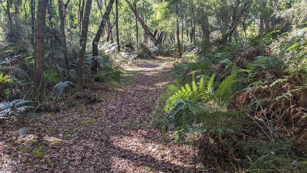 Lower Glenelg National Park