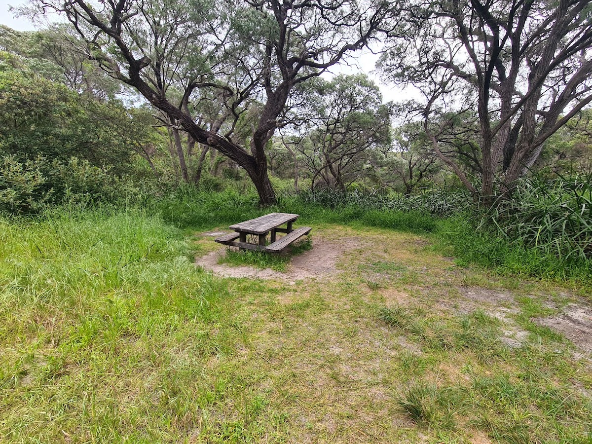 Deepdene Campsite
