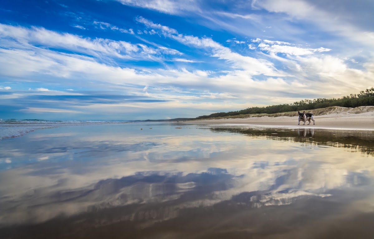 Main Beach Conservation Park