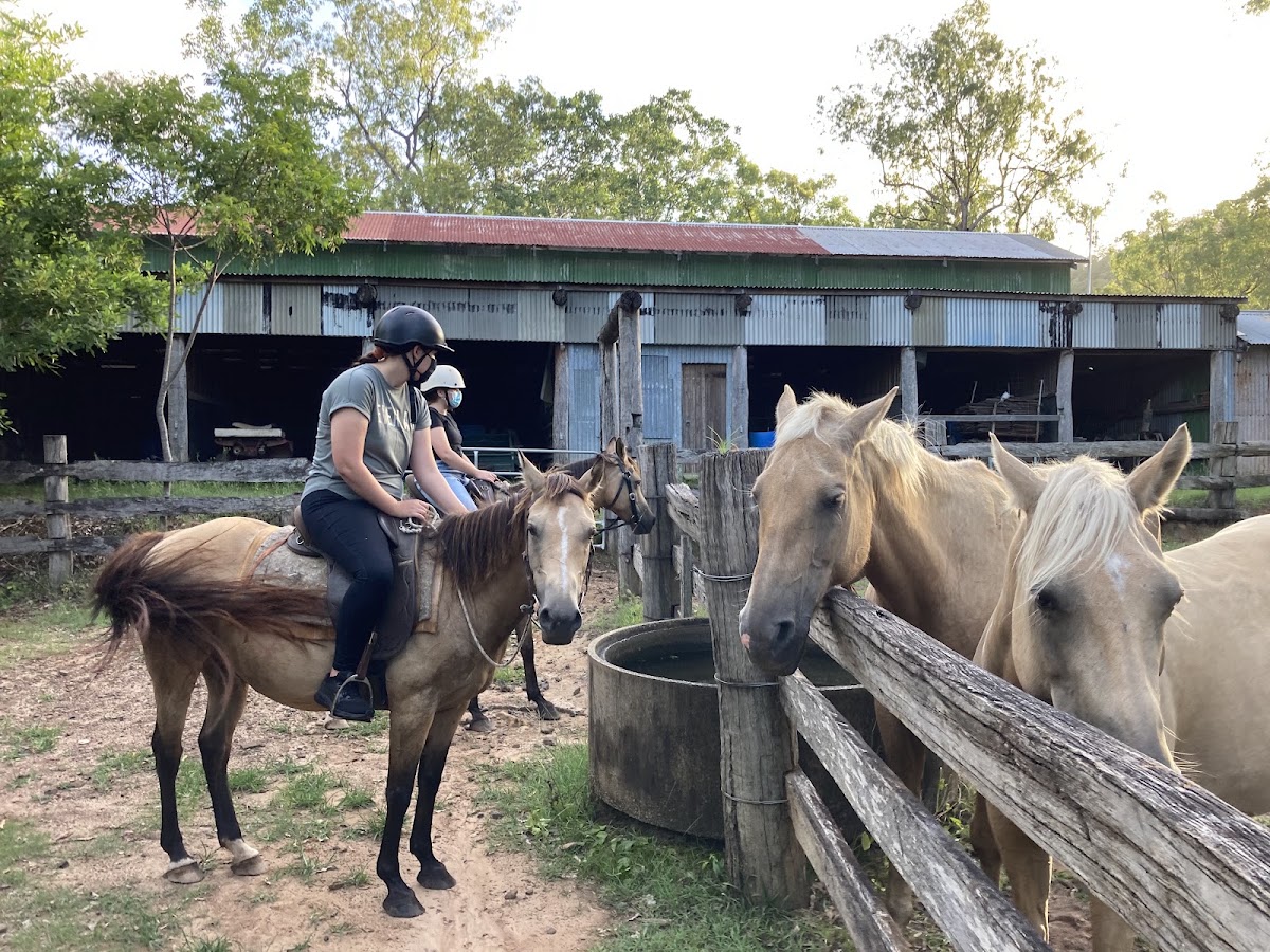 Bull Creek Farmstay