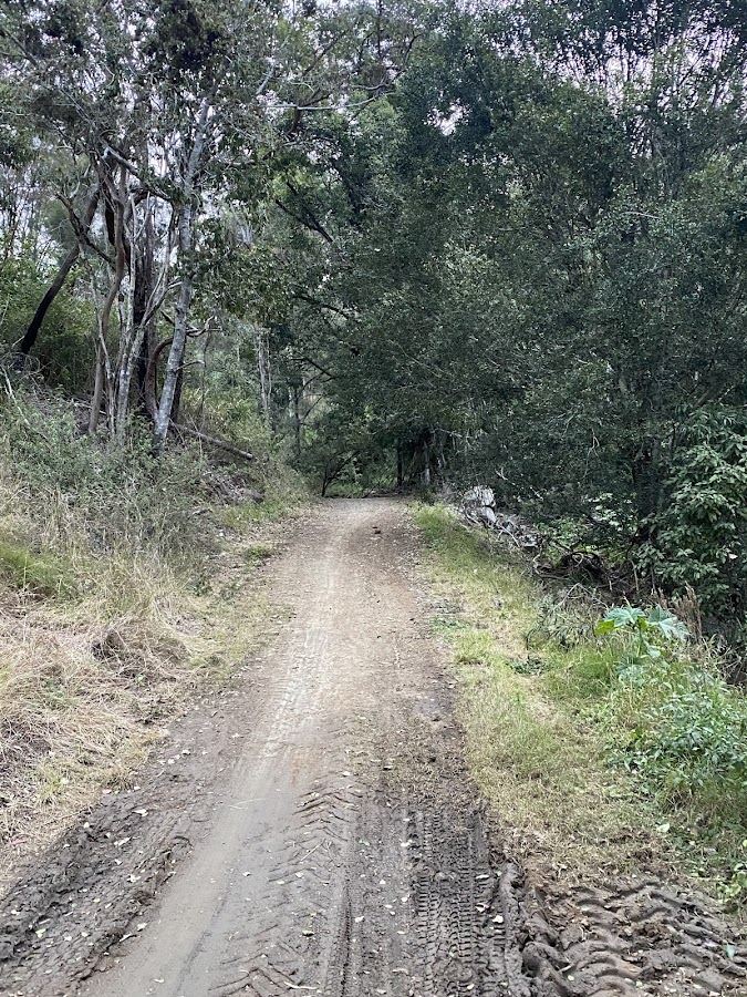 MacNamara's Camp