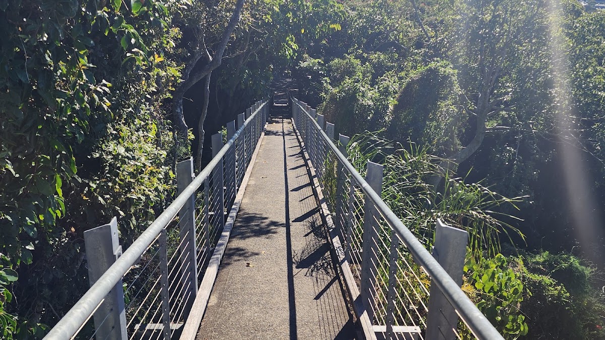 Chambers Lookout