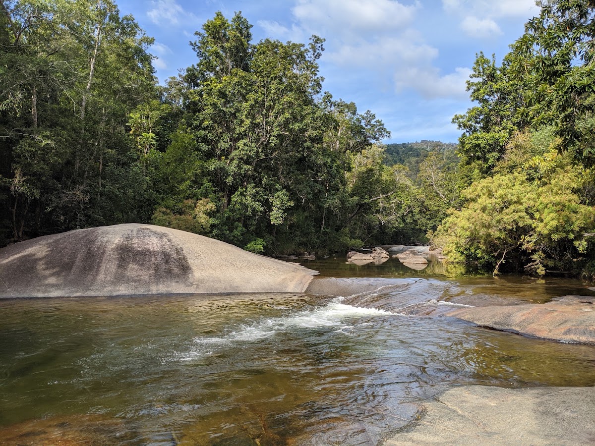 Girramay National Park
